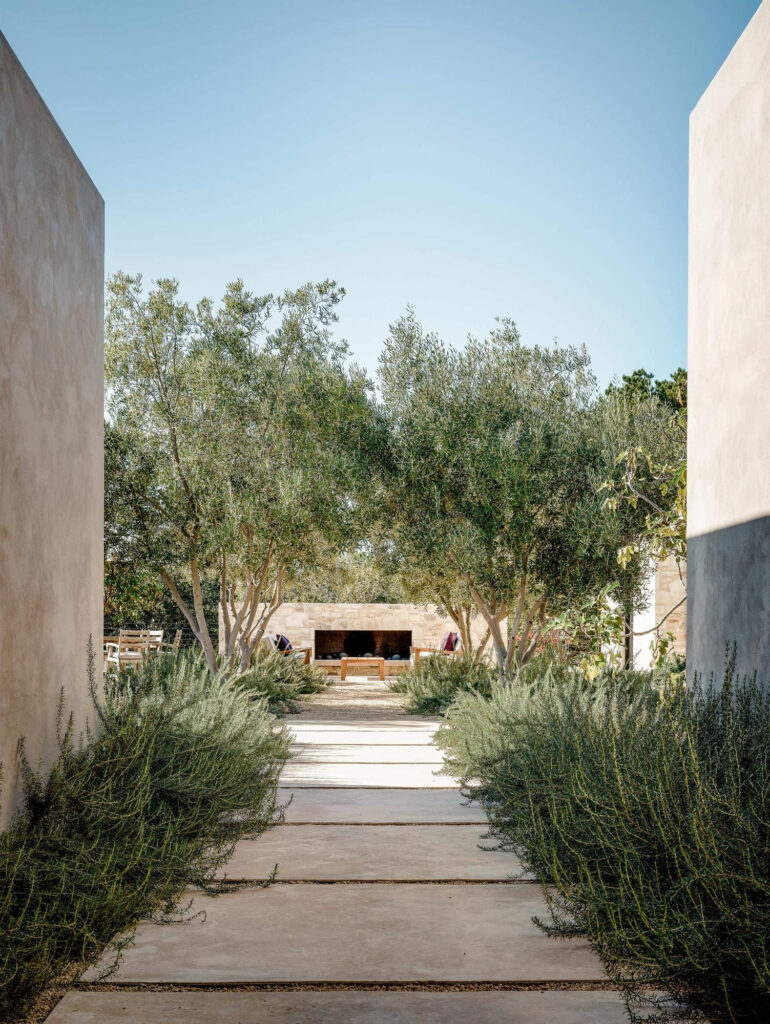 Création de jardin méditerranéen Alès